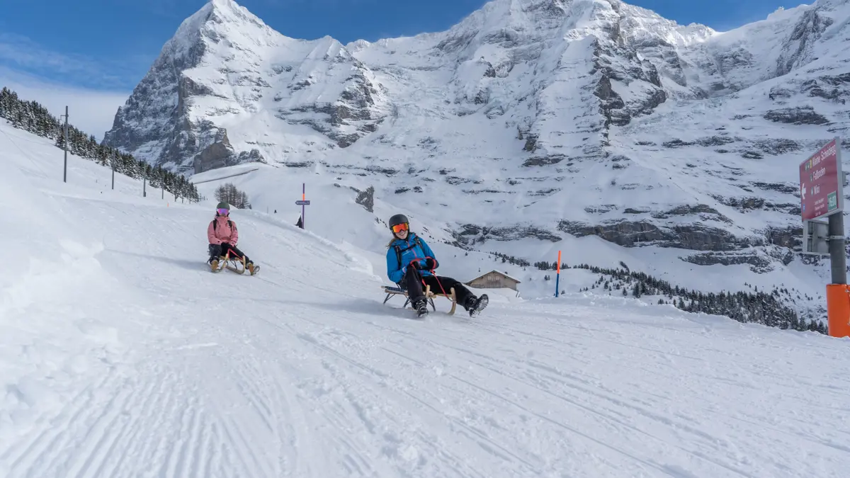 Sledding