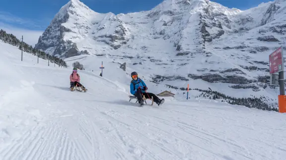 Sledding