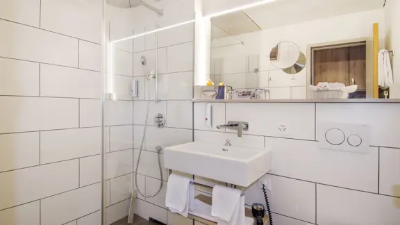 Standard bathroom