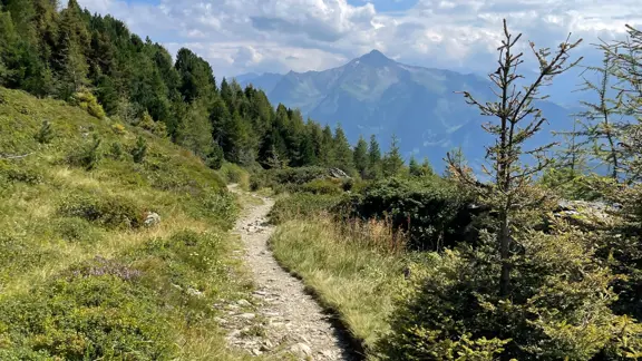 Rastkogel ridge walk with Zillertal mountain views