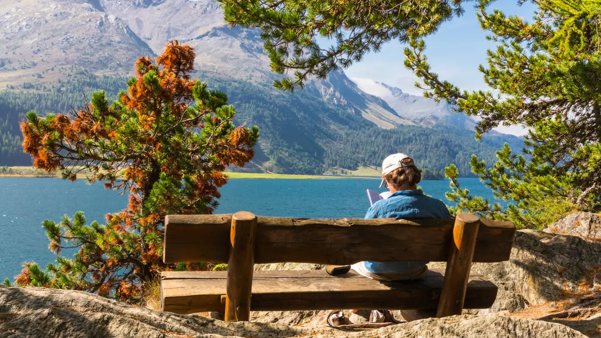 Lake Bench
