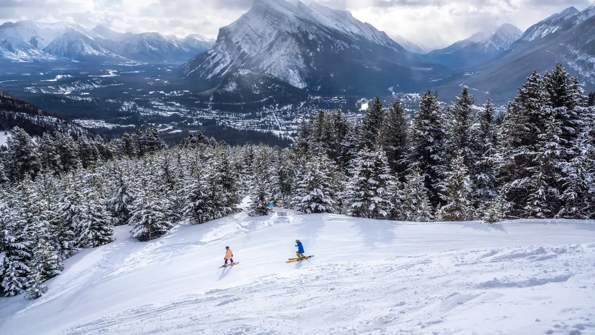 Treeline Skiing ©JohnPrice