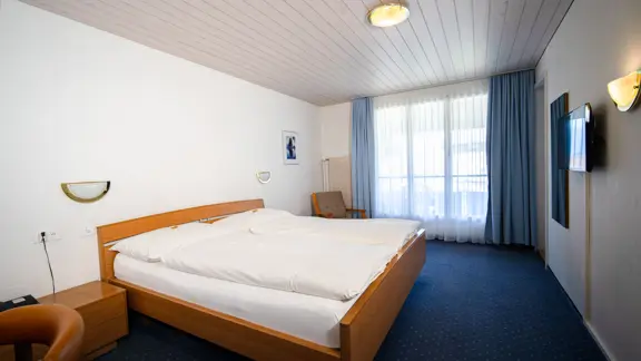 Standard mountain view room