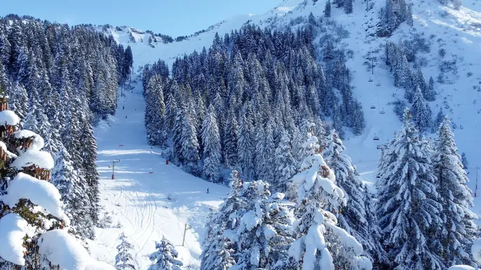 Well Groomed Slopes © DL Morzine