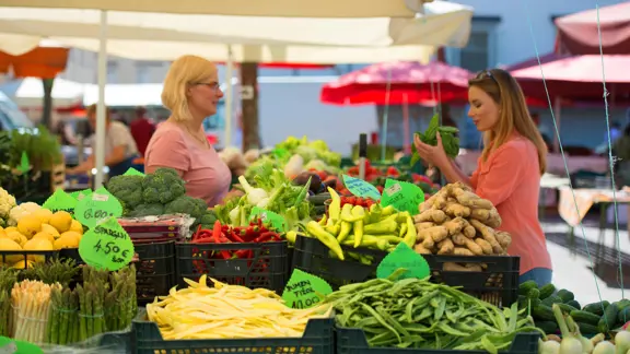 Ljubljana Markets