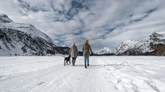 In wintery St. Moritz, Switzerland, people stroll along snowy paths with a dog, surrounded by pristine alpine scenery.