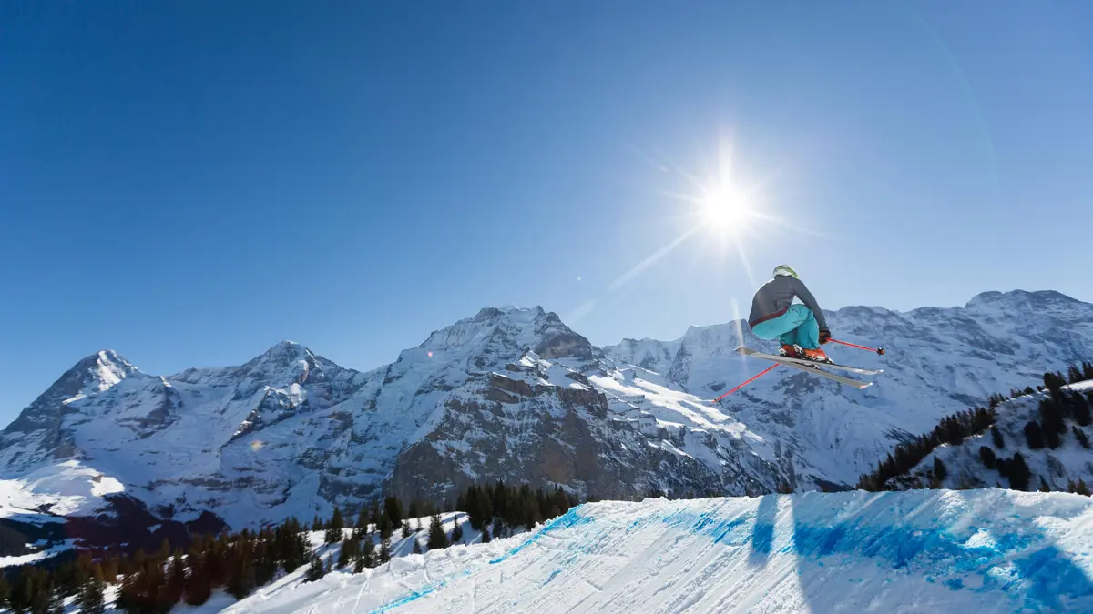 Freestyle Skier