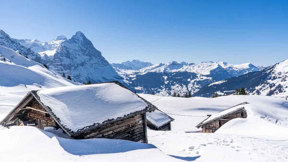 Alpine Hut