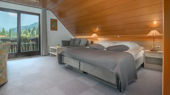 Double/twin room