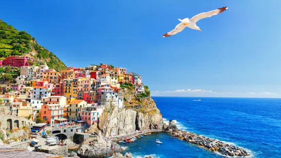 Colourful town of Manarola