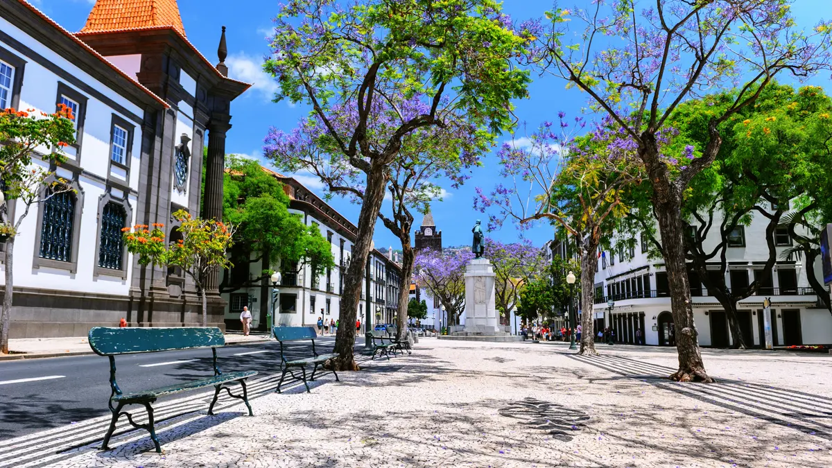 Funchal Streets Around Funchal