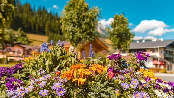 Charming village center of Filzmoos filled with vibrant, colorful flowers decorating streets and buildings under a sunny sky.