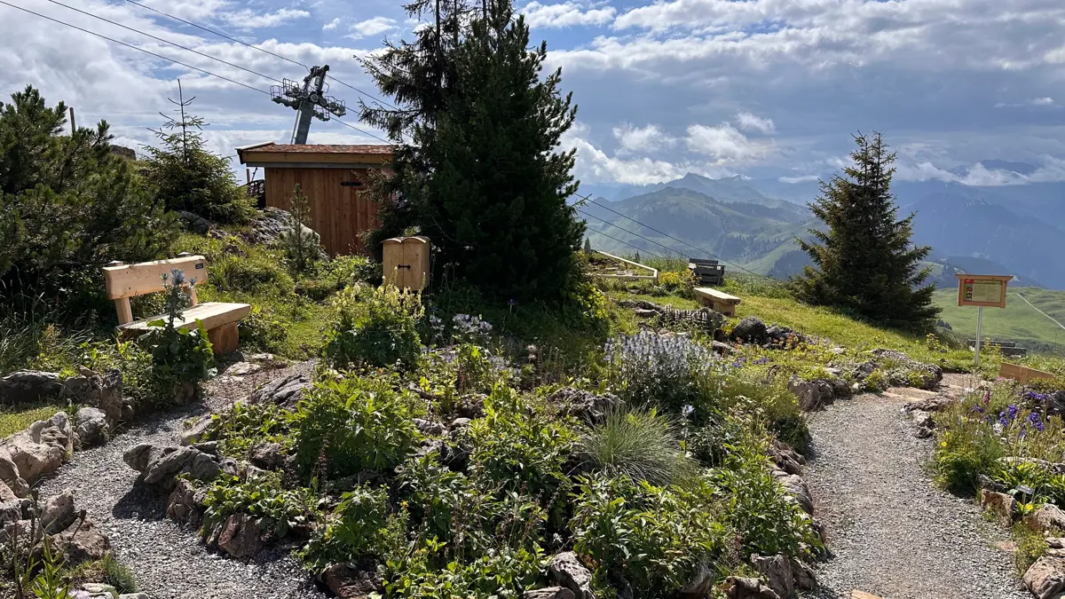 Kitzbühel Alpine Flower Garden