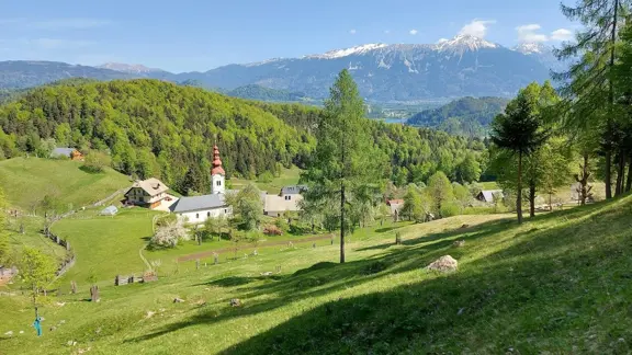 Kupljenik Bled