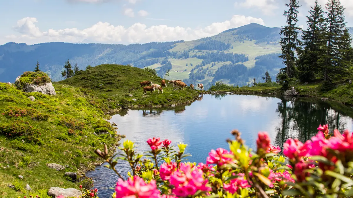 Oberau Mountain Lake Copyright Wildschönau Tourismus Alex Mayr
