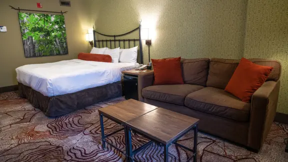 Superior king room