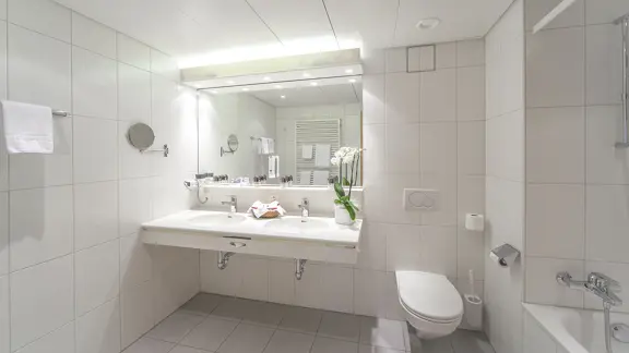 Standard bathroom