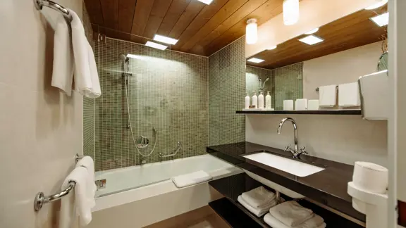 Type C bathroom