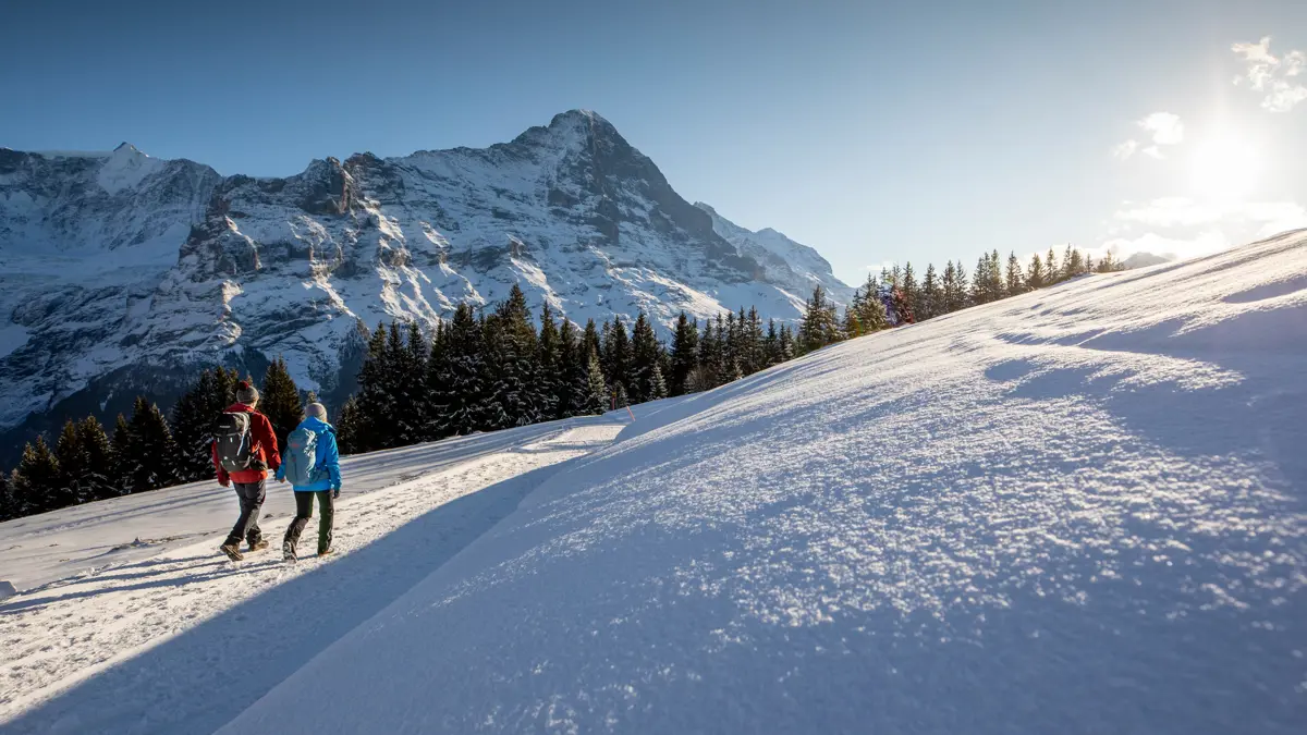 Grindelwald Switzerland Winter Walking 2