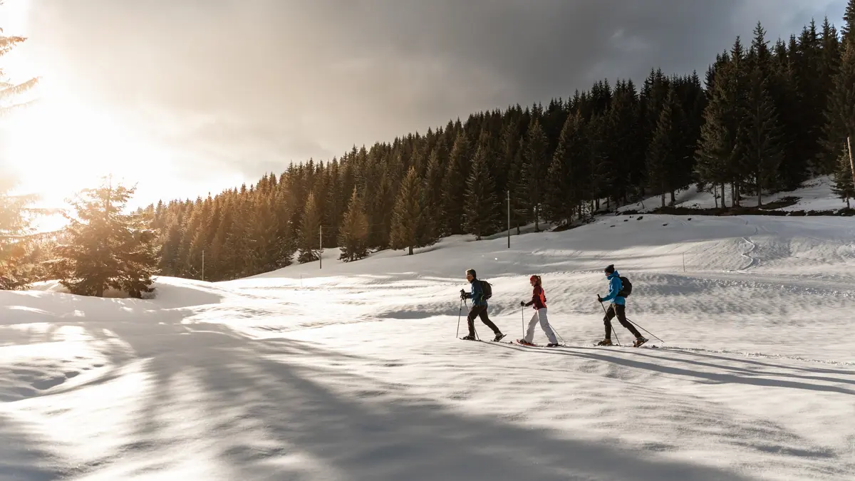 Winter Walking