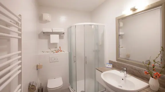 Standard bathroom