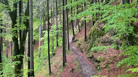 Finkenberg loop walk with valley views near Mayrhofen