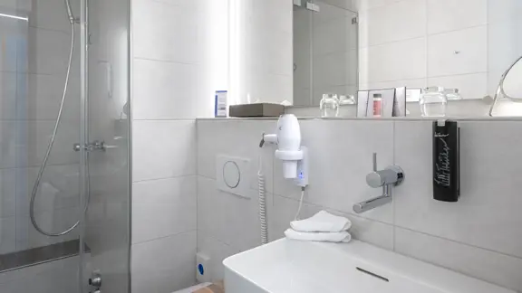Deluxe bathroom