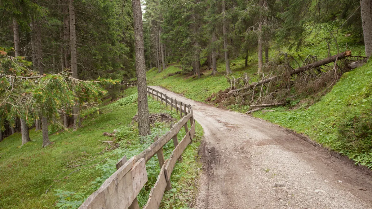 South Tyrol Path