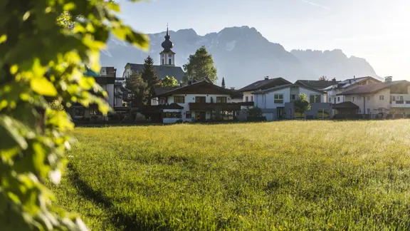 Soll Austria