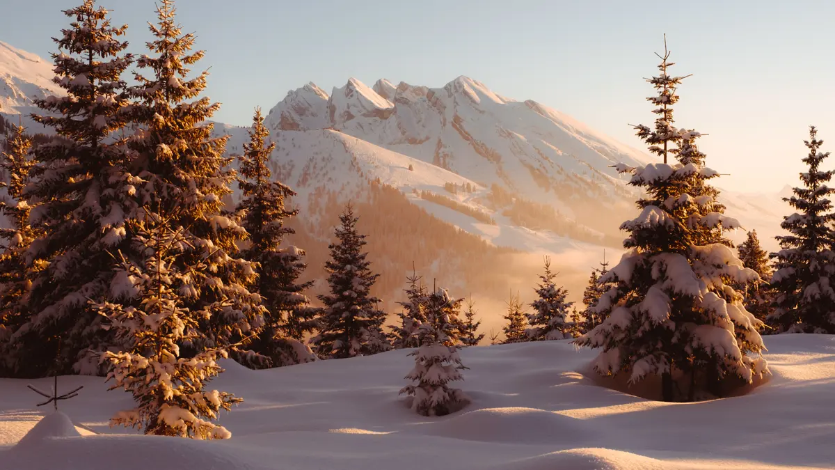 Mountain Sunset