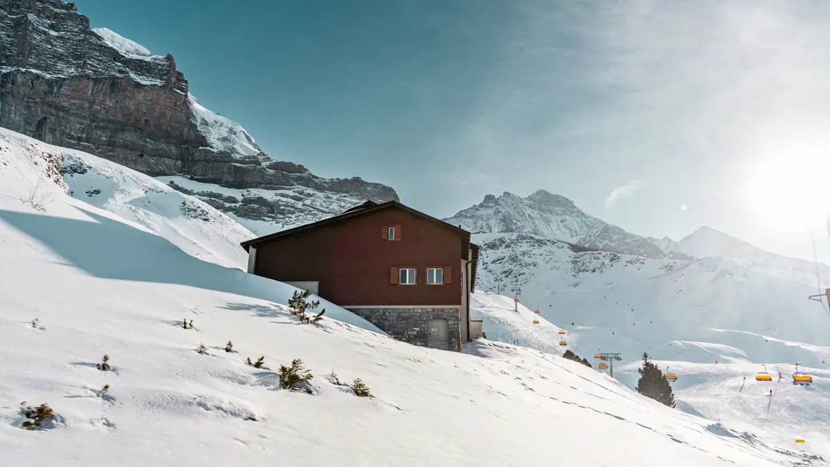 Alpine Hut