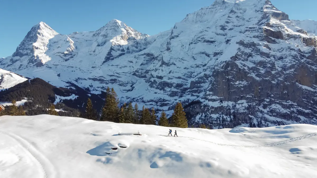 Winter Walking