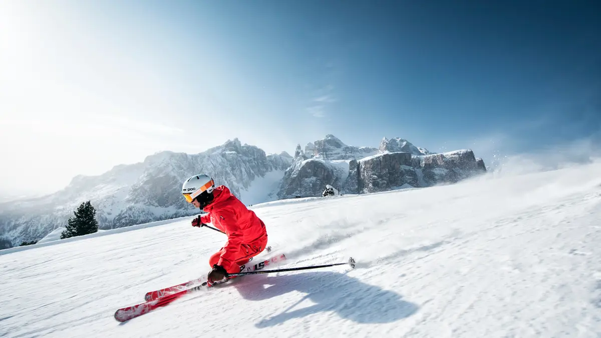 Skier 