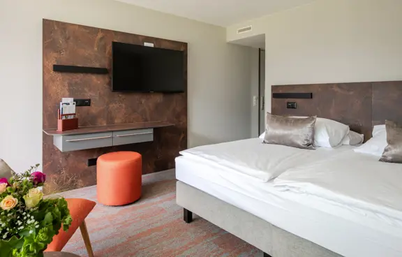 Standard twin room 