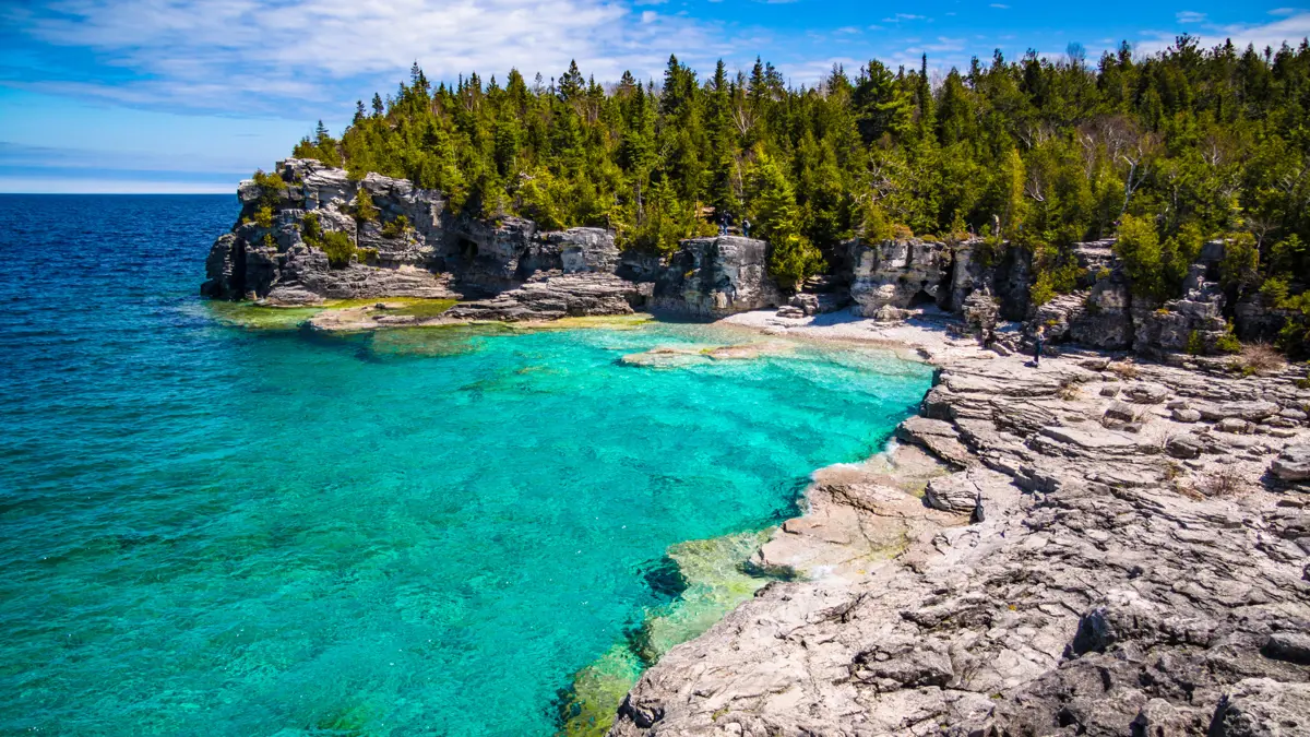 The Bruce Trail