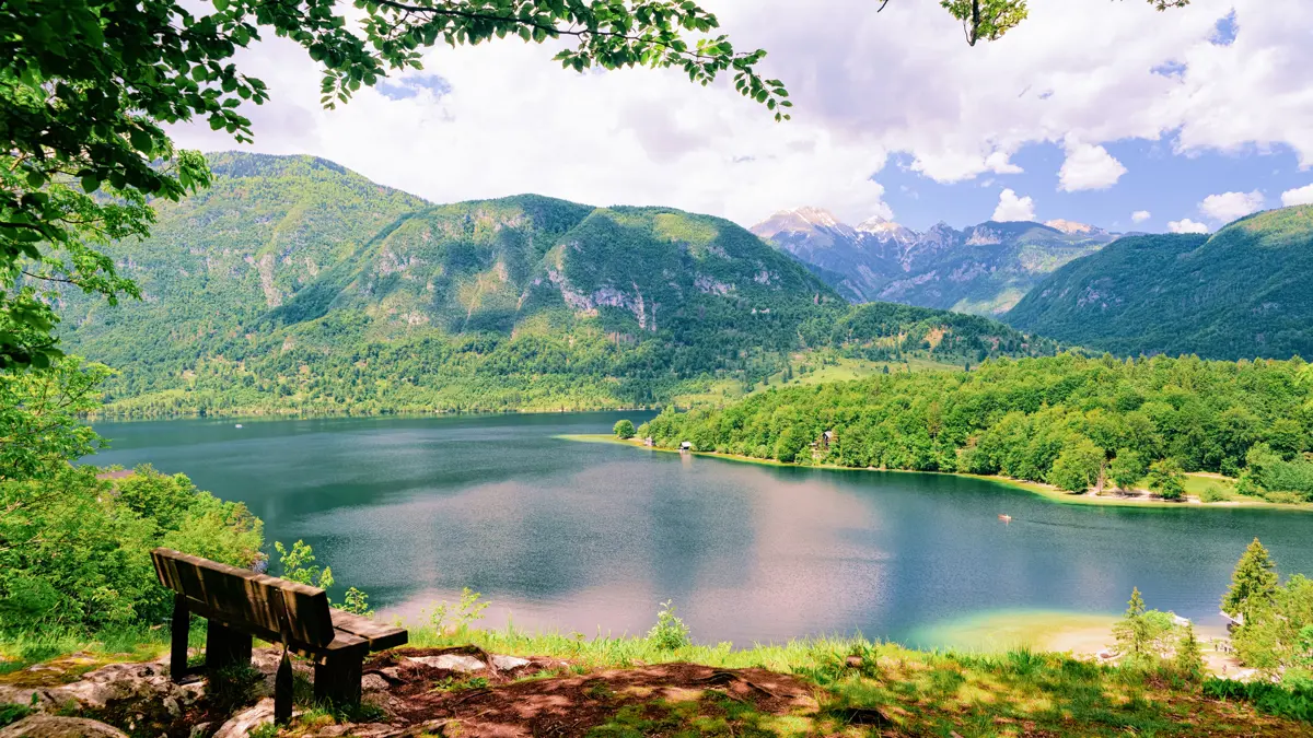 Lake Bohinj viewpoint and bench 