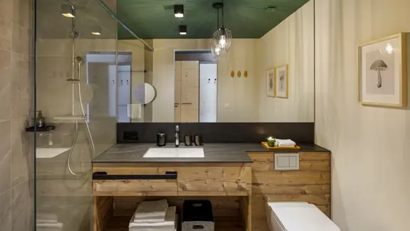 Shower room