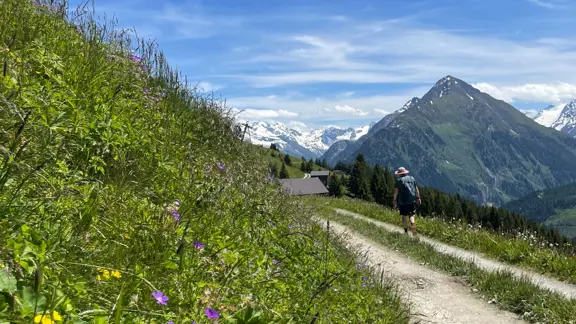 Penken Panoramaweg path across alpine meadows