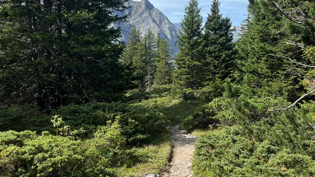Wengen walk from Eiger Gletscher to Wengernalp
