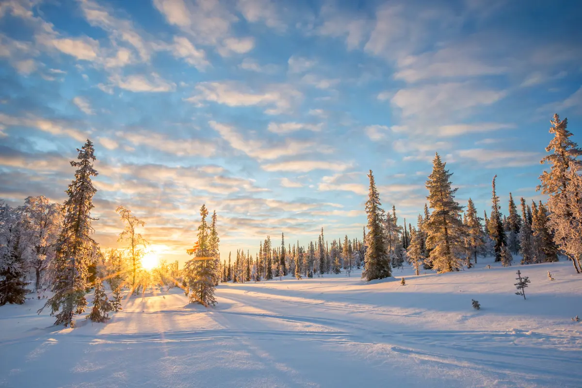 Saariselka Finland Snow Covered Landscape Adobe 3