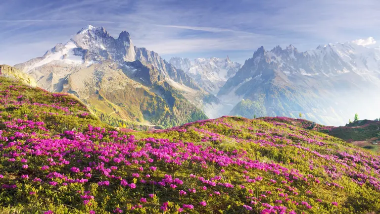 A scenic view of a landscape