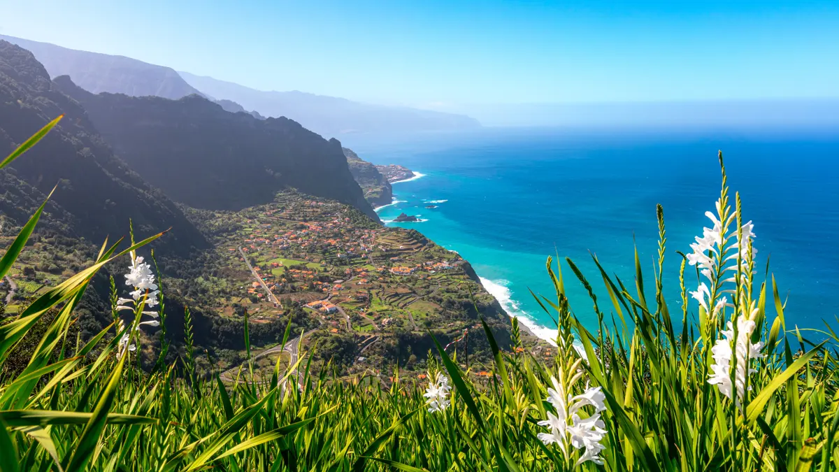 Madeira São Jorge