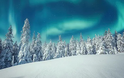 January 500X315