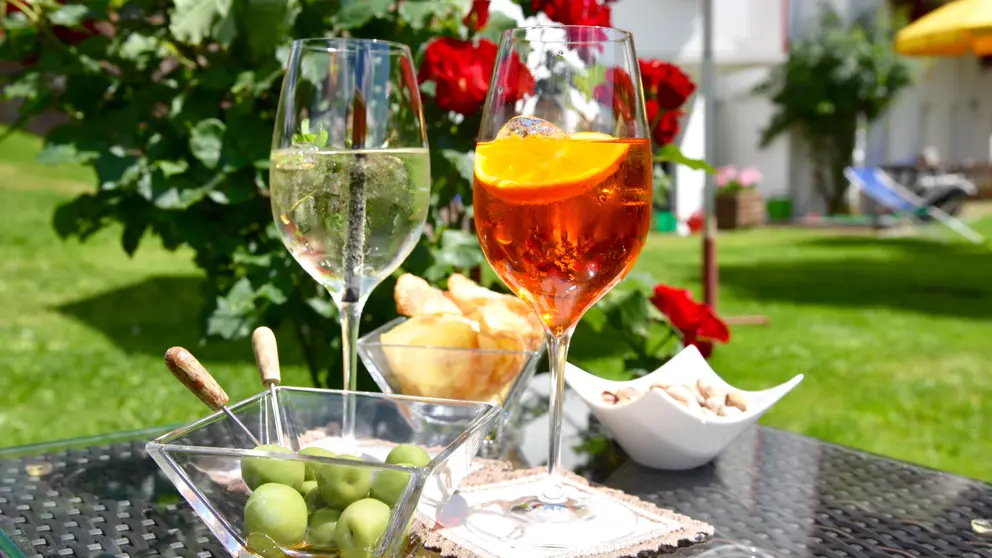 Italy, Dolomites, Selva, Hotel Mignon, Aperitivi