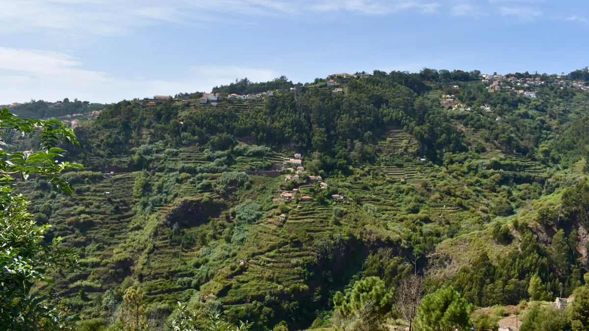 Canico Paradise Valley Guided Walk