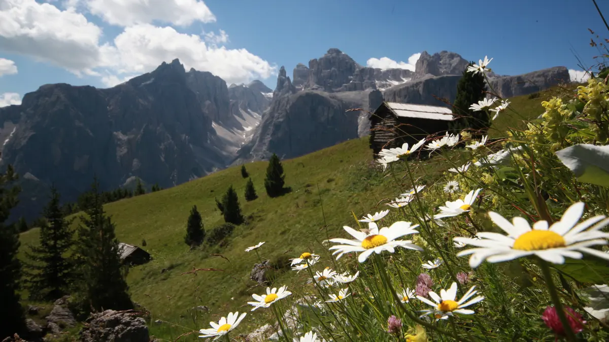 Val De Misde and The Sella Group