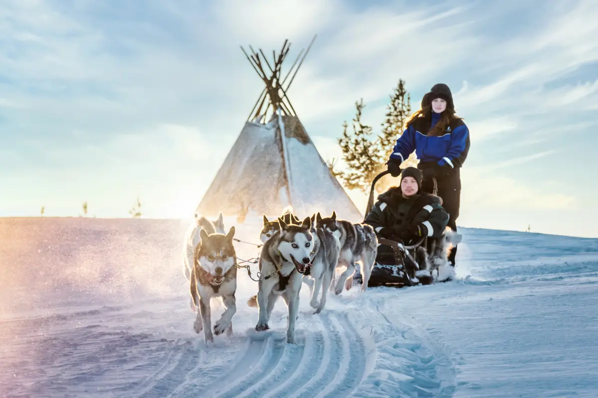 Saariselka Finland Star Arctic Husky Sledding