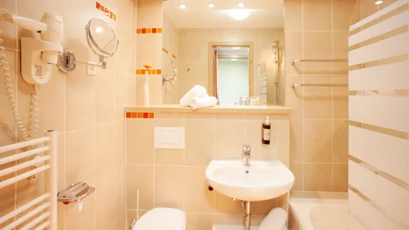 Standard bathroom