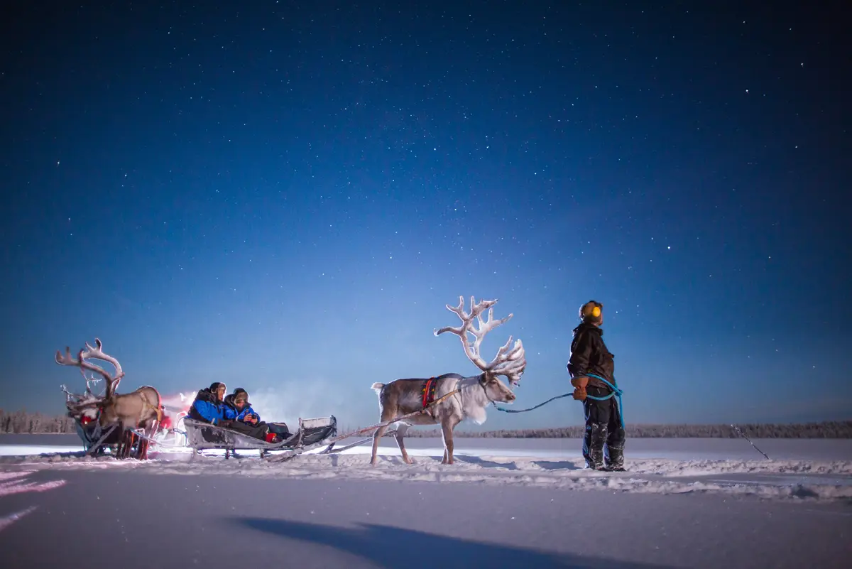 Muonio Finland Reindeer Sleigh Ride 3
