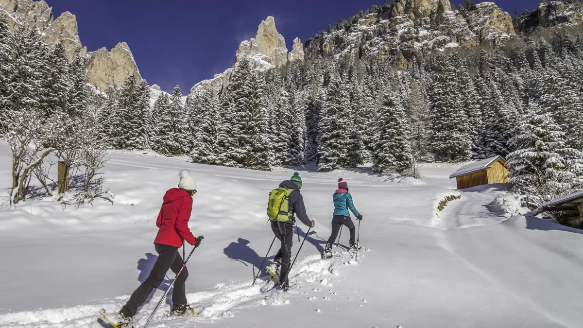 Snowshoeing adventures 